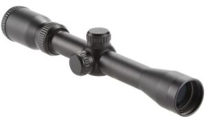 Best Scopes for 6.5 Grendel