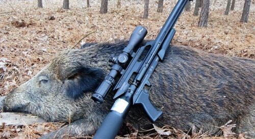 Best Scopes for Hog Hunting