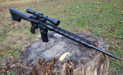 Best Scopes for 450 Bushmaster