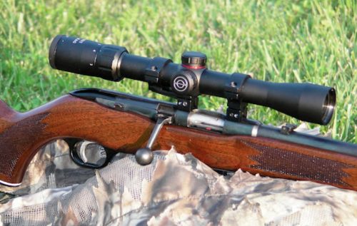 Best Varmint Scopes