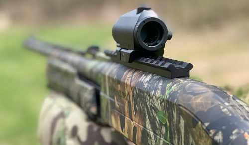 Best Red Dots for Turkey Hunting