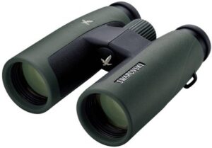 Best Hunting Binoculars