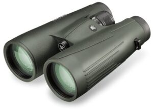 Best Binoculars for Elk Hunting