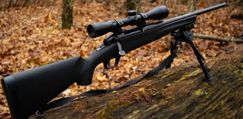 Best AR 15 Scopes for Coyote Hunting