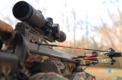 Best Hunting Crossbows