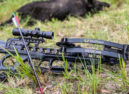 Best Crossbows for Deer Hunting