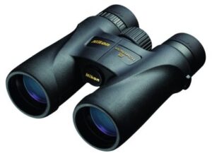 Best Deer Hunting Binoculars