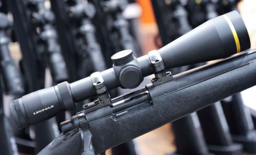 Best Leupold Scopes for 308