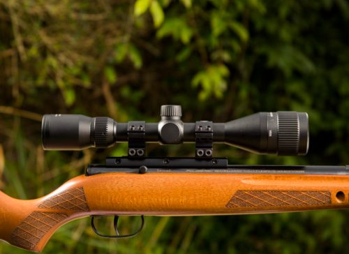 Best Scopes for 223 Coyote Hunting