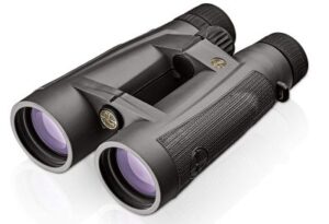 Leupold BX-5 Santiam HD 15x56mm Binocular