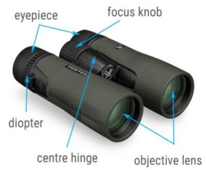 How to Choose Binoculars for Hunting