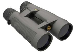 Leupold BX-5 Santiam HD 15x56mm Binocular