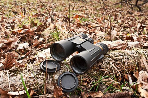 Best Long Distance Viewing Binoculars