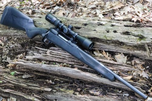 Best 22LR Squirrel Hunting Scopes