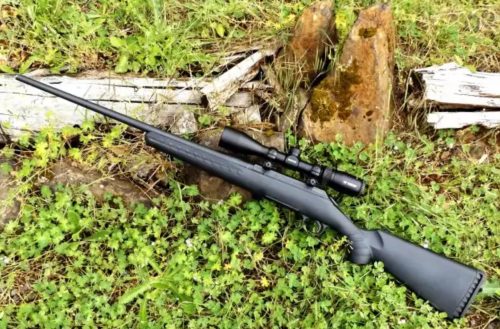 Best Air Rifles for Pest Control