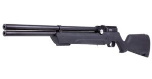 Best Air Rifles for Pest Control