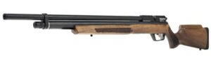 Best Air Rifles for Pest Control