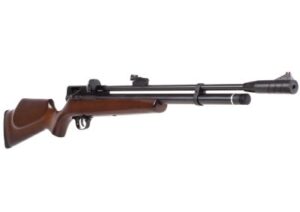 Best Air Rifles for Pest Control