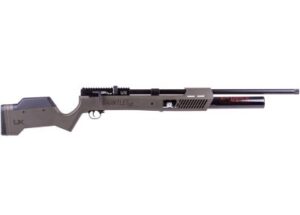 Best 25 Cal Air Rifles