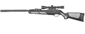 Gamo Swarm Viper 10X GEN3i .22 Air Rifle