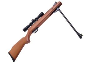 Best Small Game Hunting Air Rifles