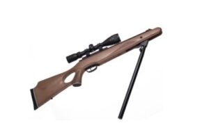 Best Air Guns for Hunting Squirrels