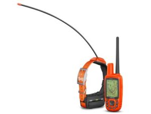 Best GPS Trackers for Hunting Dogs