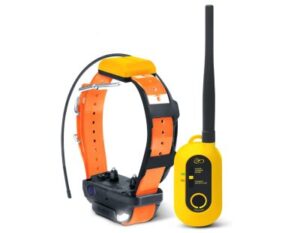 Best GPS Trackers for Hunting Dogs