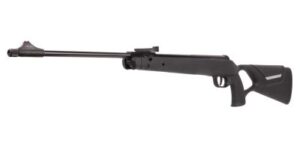 Best Air Guns for Hunting Squirrels