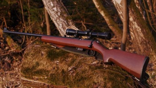 Best Scopes for Browning Bar