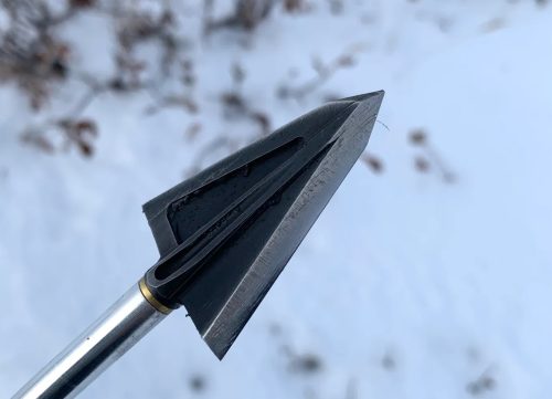 Best Broadheads for Elk Hunting
