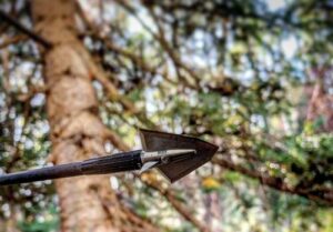 Best Broadheads for Elk Hunting